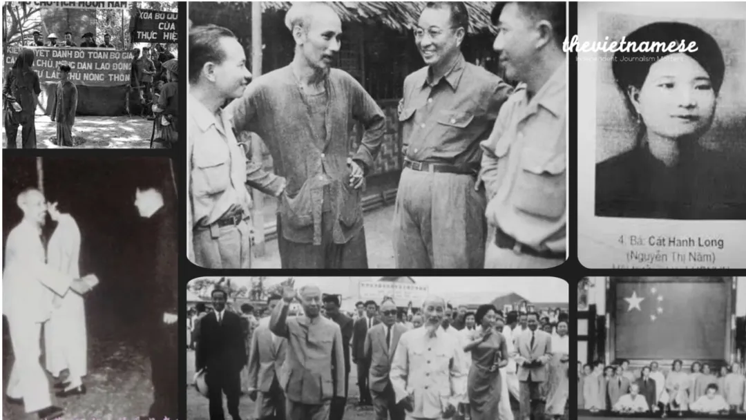 Cách Nuôi Cá Lóc Trong Ao Đất Đạt Hiệu Quả Kinh Tế Cao Nhất