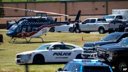 Tuổi Của Chó Tính Như Thế Nào: Công Thức Khoa Học Mới Nhất