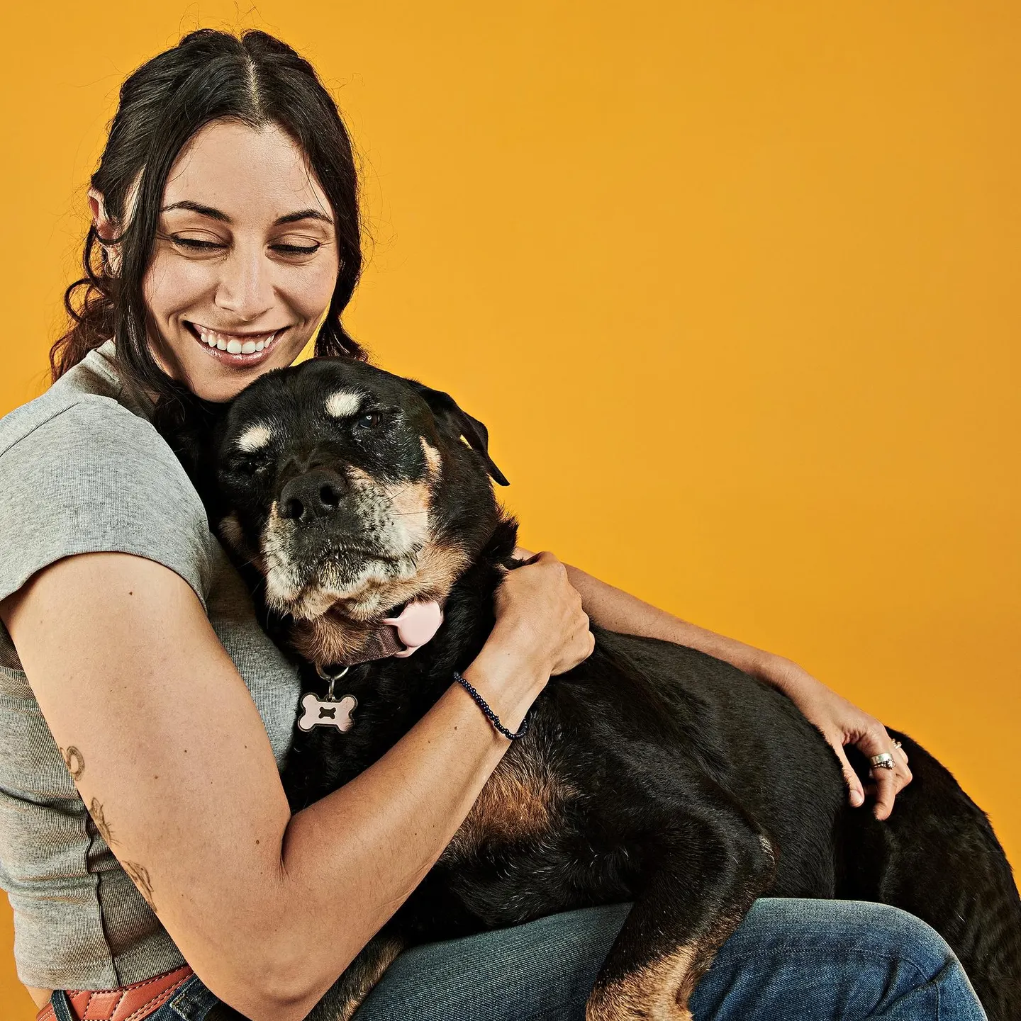 Tuổi Thọ Chó Phú Quốc Trung Bình Và Cách Chăm Sóc Đạt Mốc 17 Năm