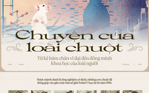 Chuột Túi Nhảy – Giải Mã Cơ Chế Sinh Học Đằng Sau Kỷ Lục Thế Giới