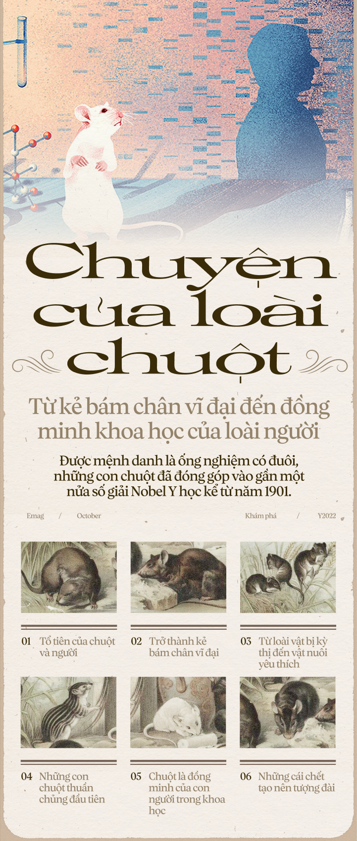 Chuột Túi Nhảy – Giải Mã Cơ Chế Sinh Học Đằng Sau Kỷ Lục Thế Giới