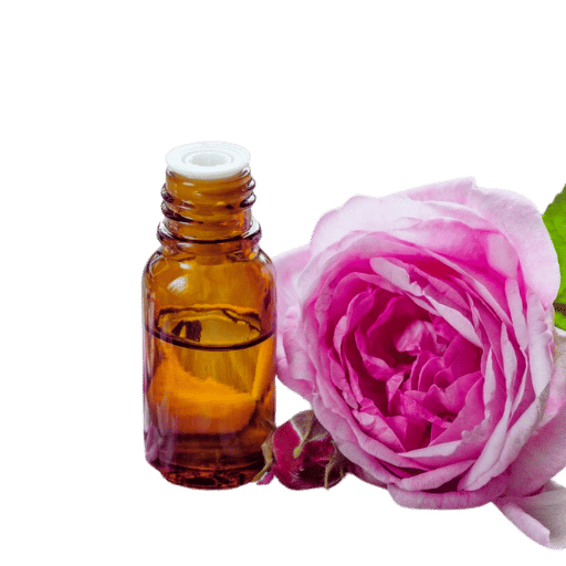 Cách Nuôi Cá Cảnh Nhỏ Thành Công Tại Nhà: Hướng Dẫn Toàn Diện