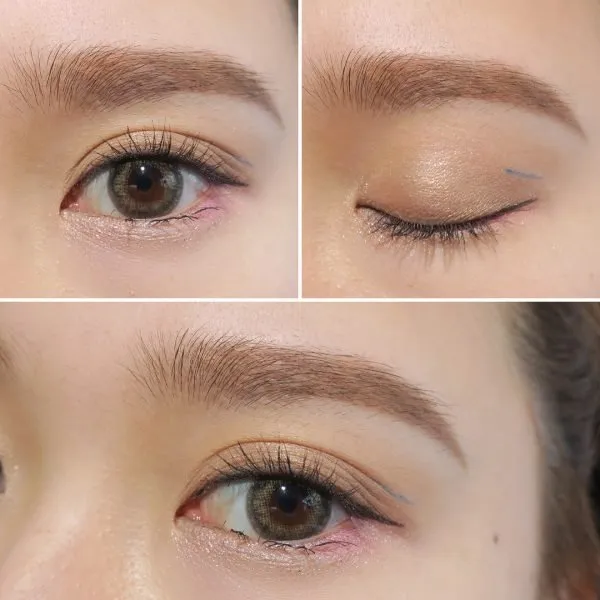 Giá Trị Sinh Thái Của Rắn Ri Cóc