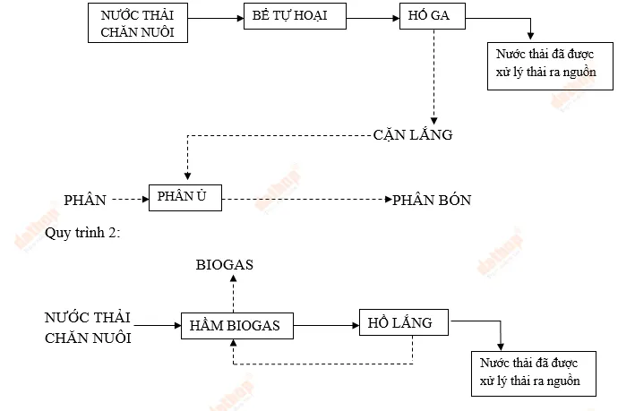 Sơ đồ hệ thống xử lý chất thải chăn nuôi heo hiệu quả cho trang trại