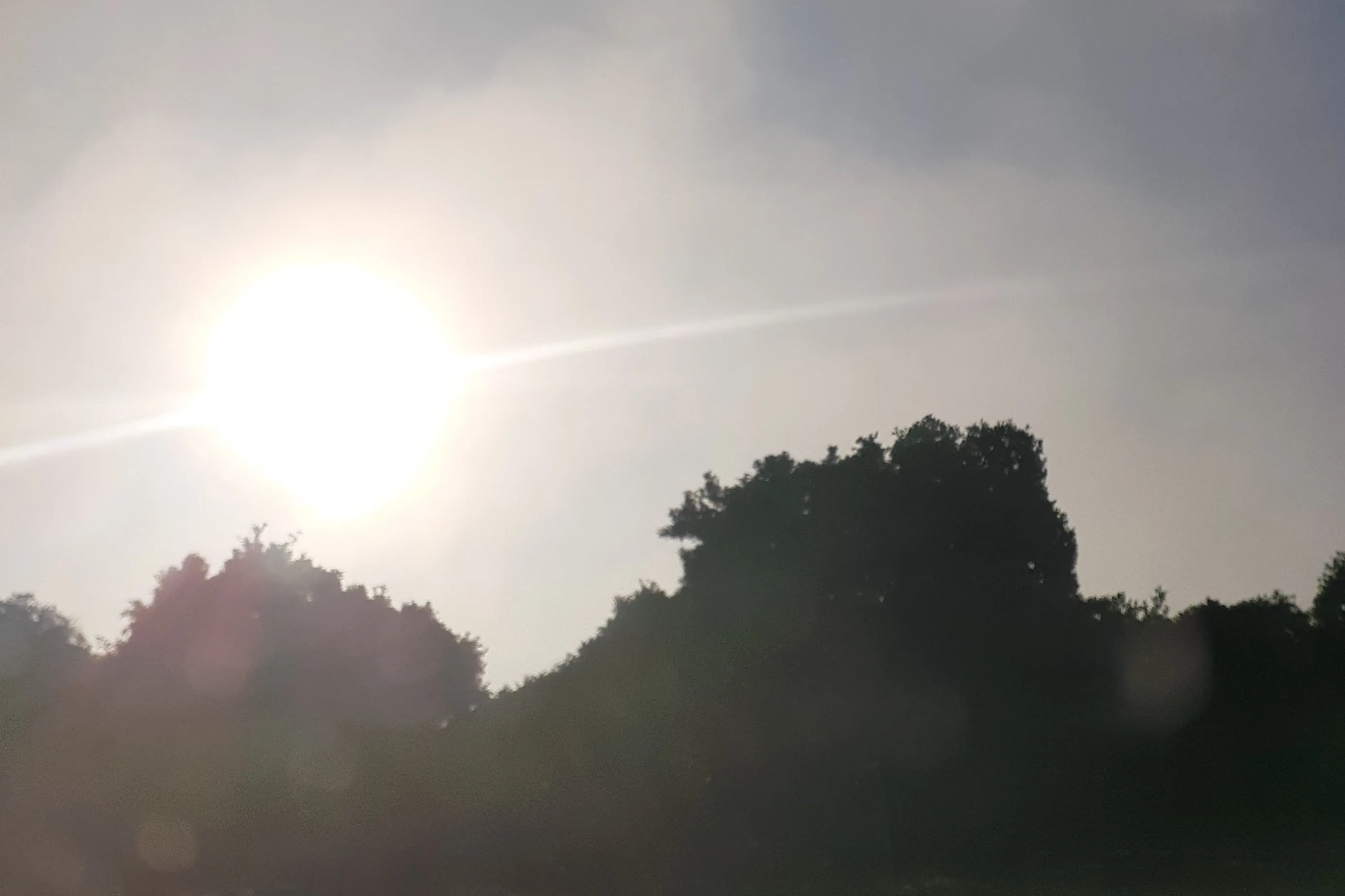 Truyện Chuột Gà Trống Và Mèo: Bài Học Về Bản Chất Sự Việc