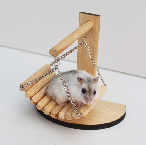 xích đu gỗ cho chuột hamster