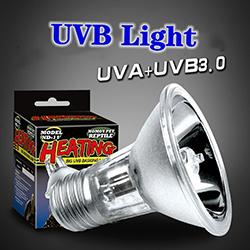 Đèn sưởi heating UVB - ND-11