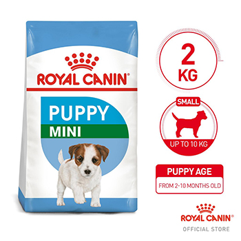 royal mini puppy 2kg