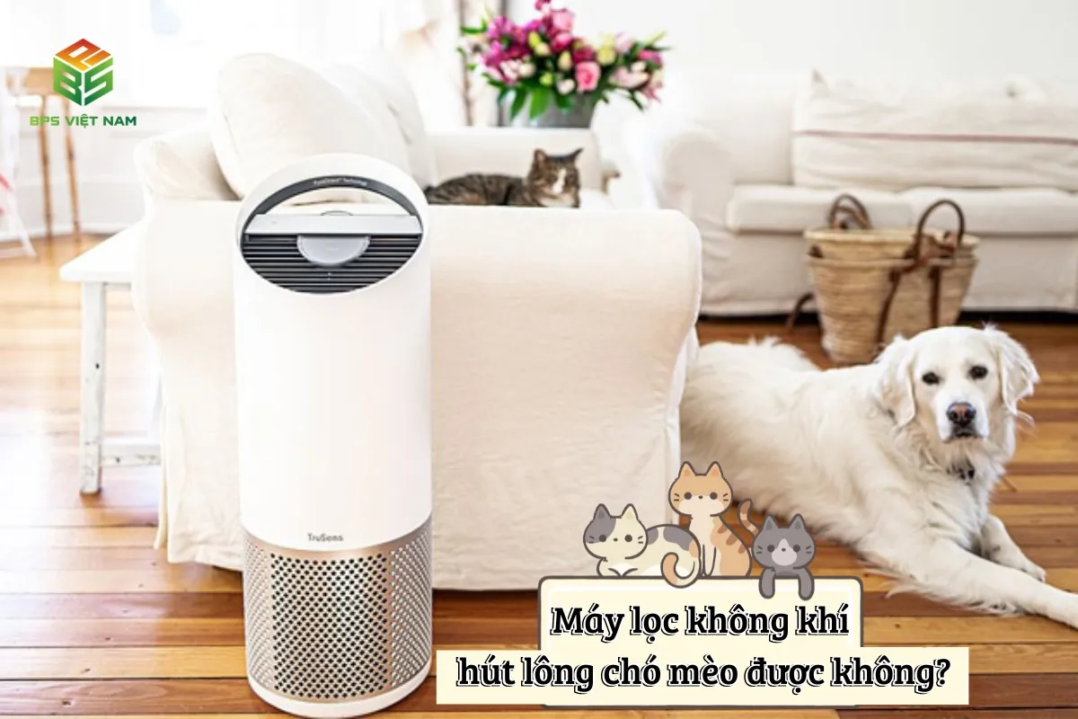 Máy Lọc Không Khí Có Hút Được Lông Mèo Không? Giải Đáp Chi Tiết