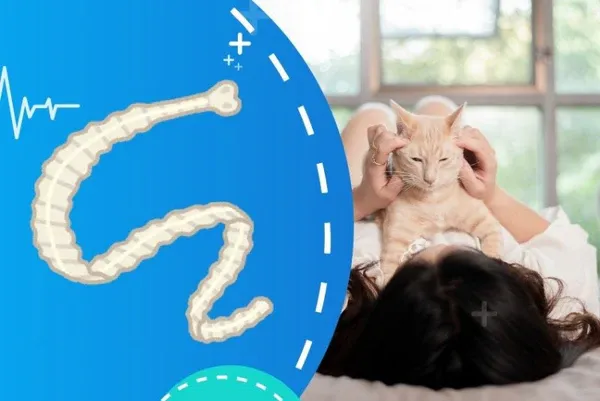 Điều trị giun đũa cho người