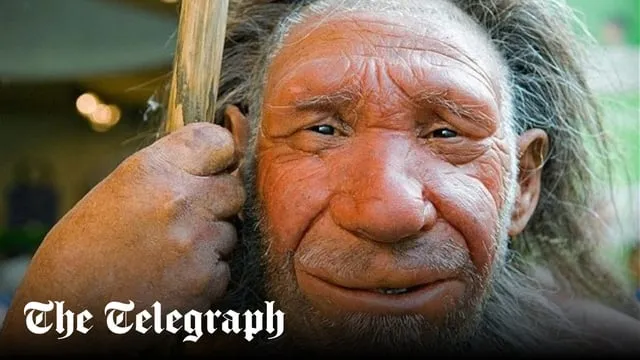 Con Chó Sói Con: Vòng Đời, Hành Vi Và Chiến Lược Chung Sống An Toàn