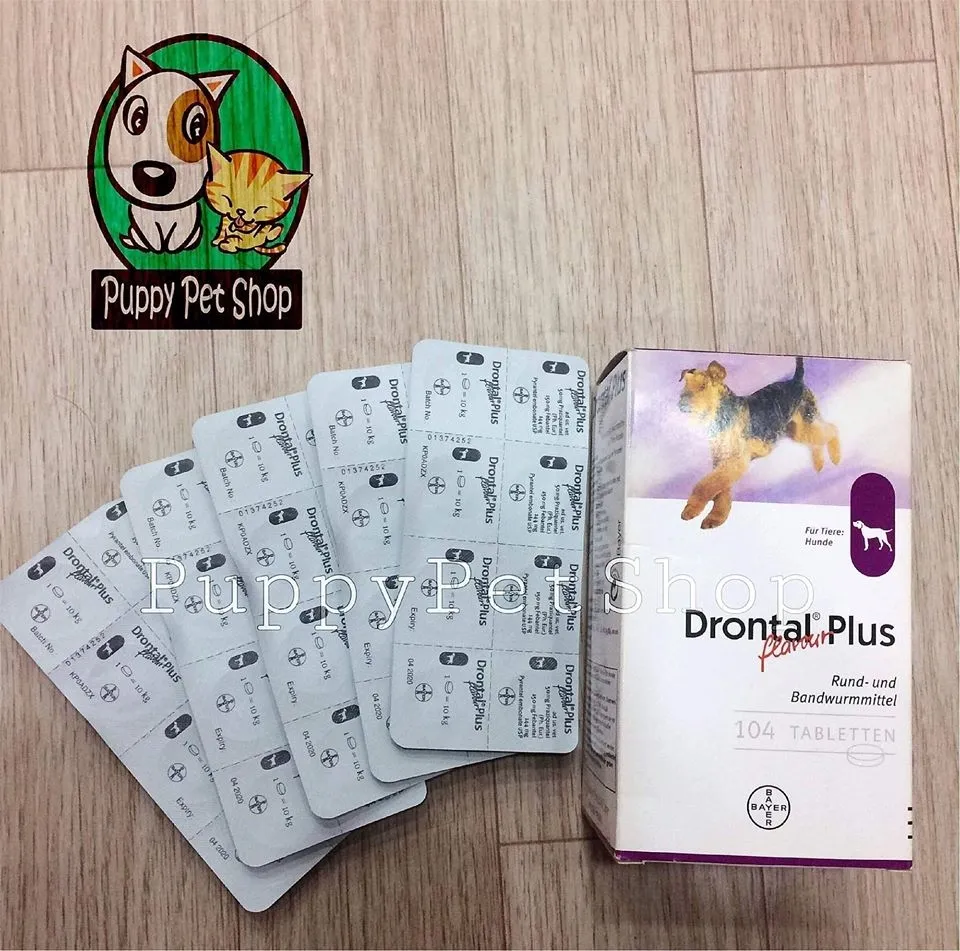 Thuốc Sổ Giun Cho Chó Bayer Drontal Plus Hiệu Quả Nhất