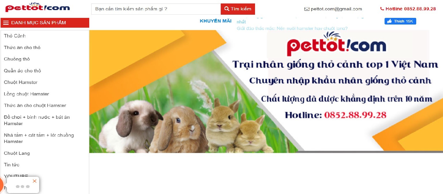 Đồ Cho Chuột Hamster: Hướng Dẫn Chi Tiết Chuẩn Bị Mọi Thứ Cần Thiết
