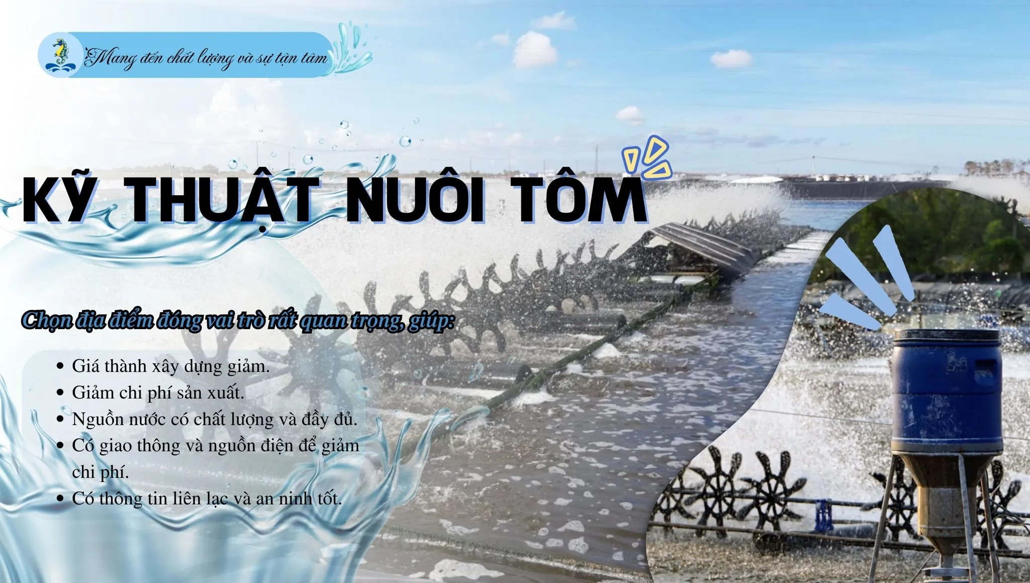 Kỹ Thuật Chi Tiết Cách Nuôi Tép Đồng Đạt Năng Suất Cao Bền Vững