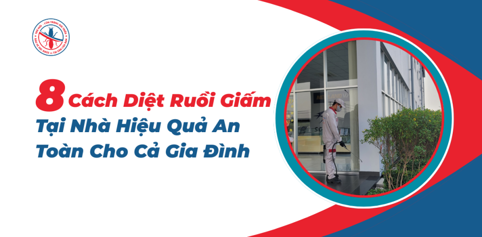 Cách Diệt Chuột Tại Nhà Hiệu Quả Nhất Với Các Giải Pháp An Toàn