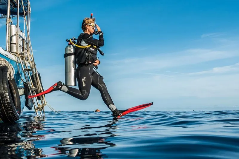 Cách Nuôi Rùa Cảnh Khoa Học Và Toàn Diện Tại Nhà