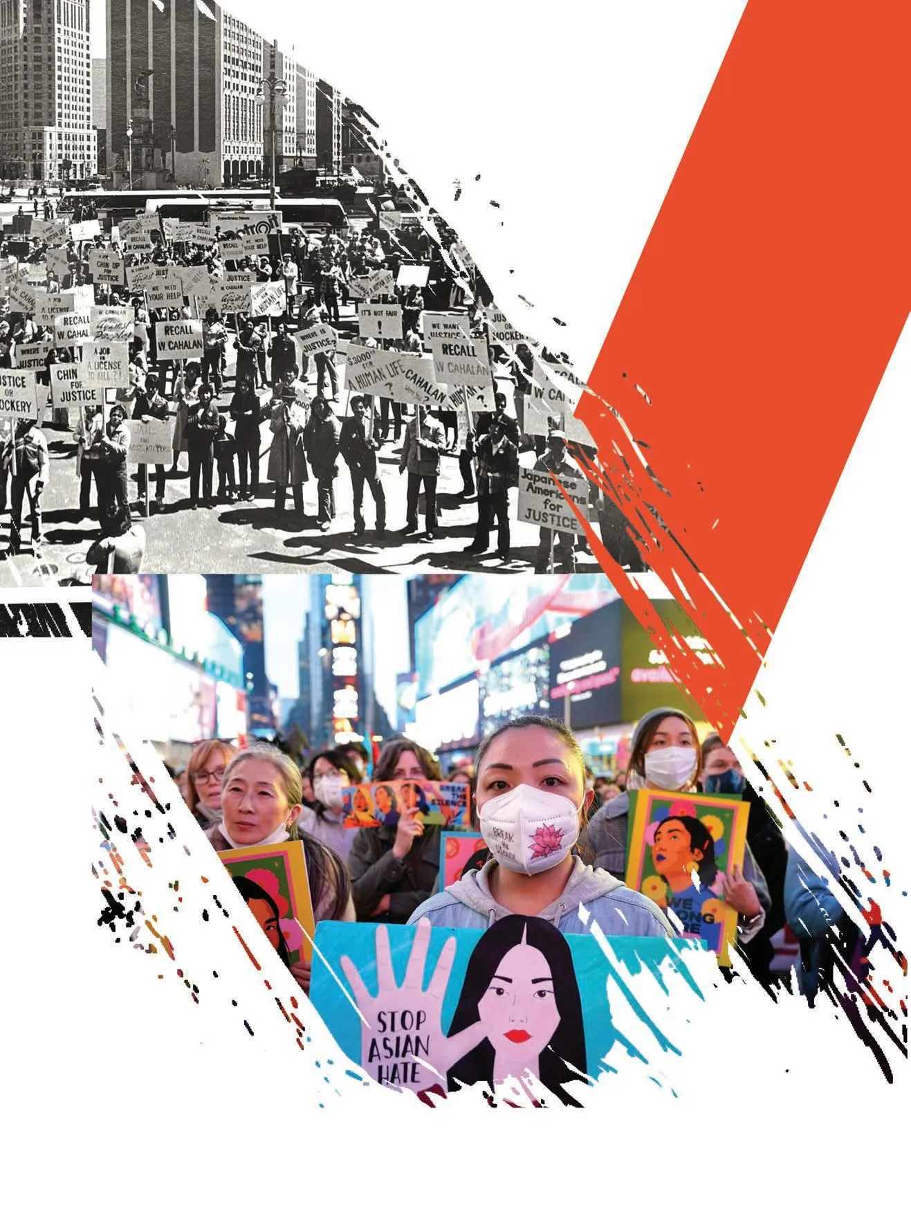 Hướng Dẫn Nuôi Chó Phú Quốc Toàn Diện: Kinh Nghiệm Chăm Sóc Và Huấn Luyện Khôn Ngoan