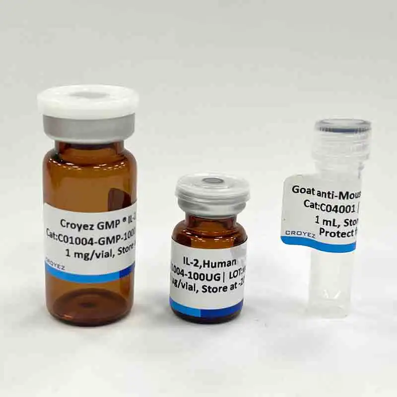 Con Chuột Nhắt – Đặc Điểm Sinh Học Và Các Biện Pháp Kiểm Soát Hiệu Quả