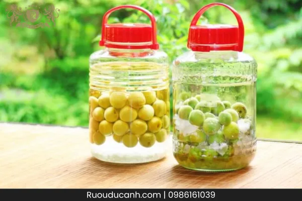 Rượu Táo Mèo Ngâm Bao Lâu Thì Uống Được: Hướng Dẫn Chi Tiết Từ A-Z