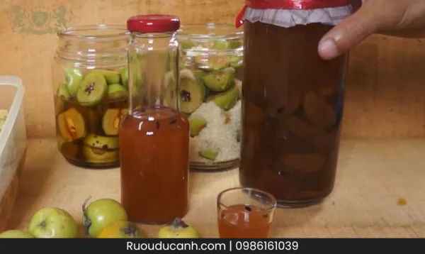 Rượu Táo Mèo Ngâm Bao Lâu Thì Uống Được: Hướng Dẫn Chi Tiết Từ A-Z