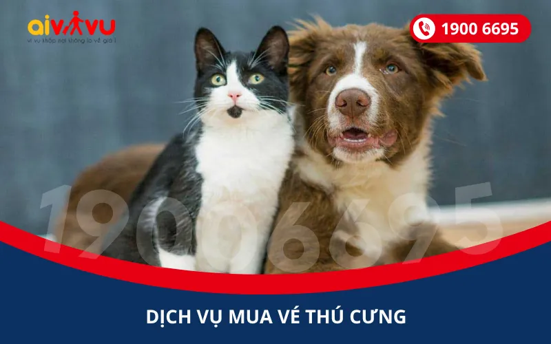 Chó Sói Nuôi: Hướng Dẫn Toàn Diện Về An Toàn Và Phòng Ngừa Tấn Công Cho Thú Cưng