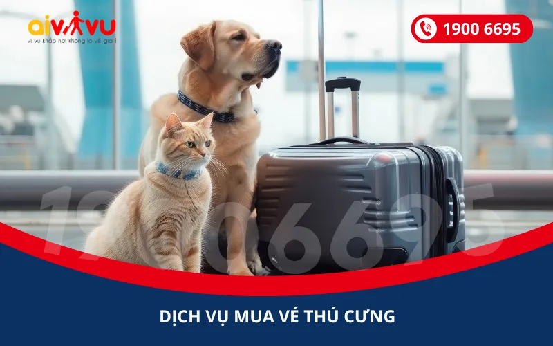 Chó Sói Và Sói: Hướng Dẫn Bảo Vệ Thú Cưng Toàn Diện Từ Chuyên Gia