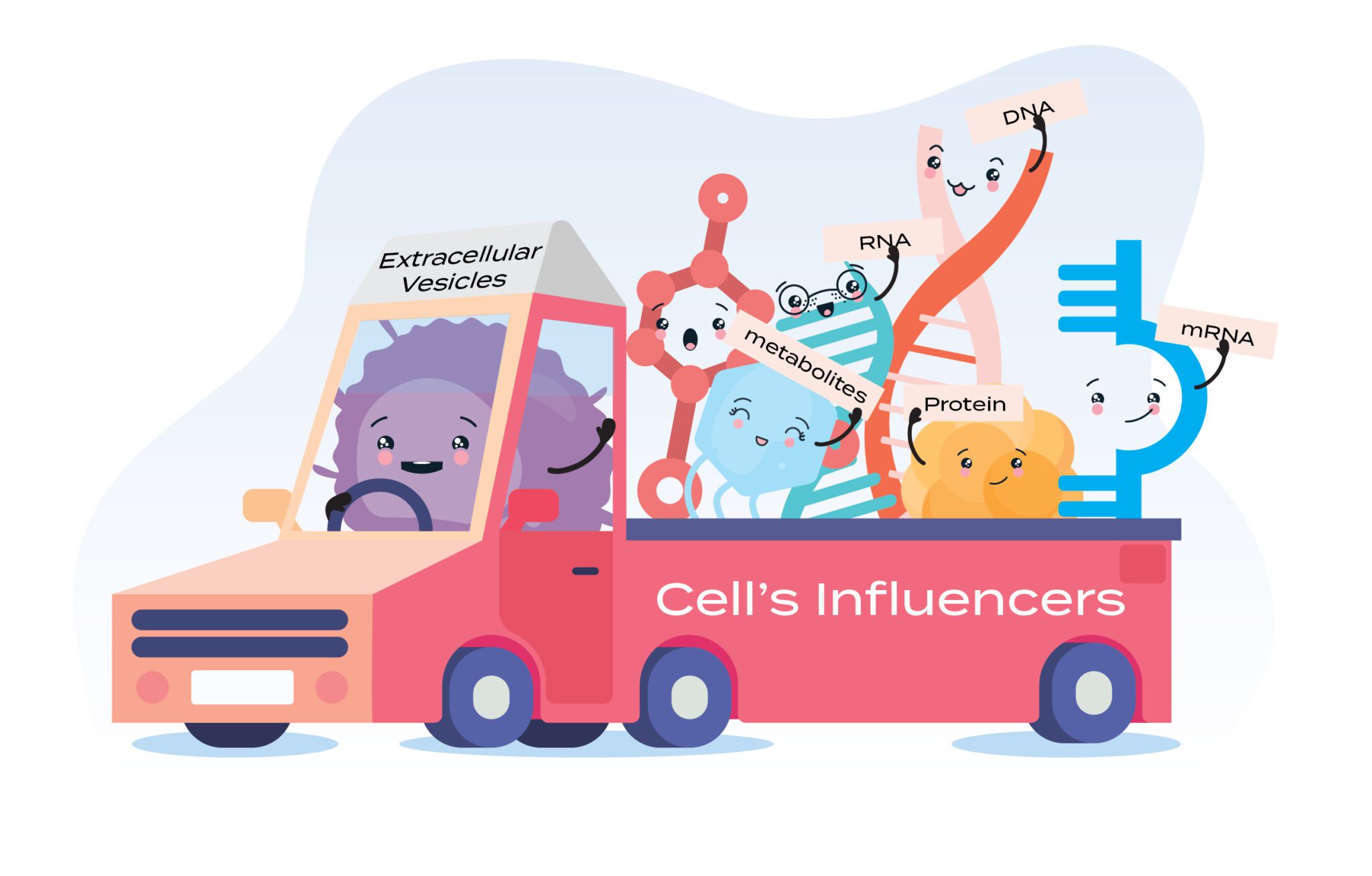 Phân Tích Chuyên Sâu Về logo chuột túi Và Ứng Dụng Thương Hiệu