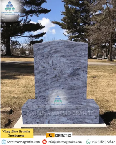 Cách Nuôi Chim Cu Gáy Bổi: Hướng Dẫn Thuần Dưỡng Chuyên Sâu, Khởi Đầu Thành Công