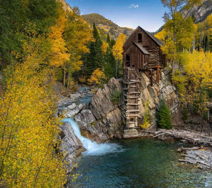 Hướng Dẫn Chi Tiết Cách Nuôi Cá Nàng Hai Chuẩn Chỉnh