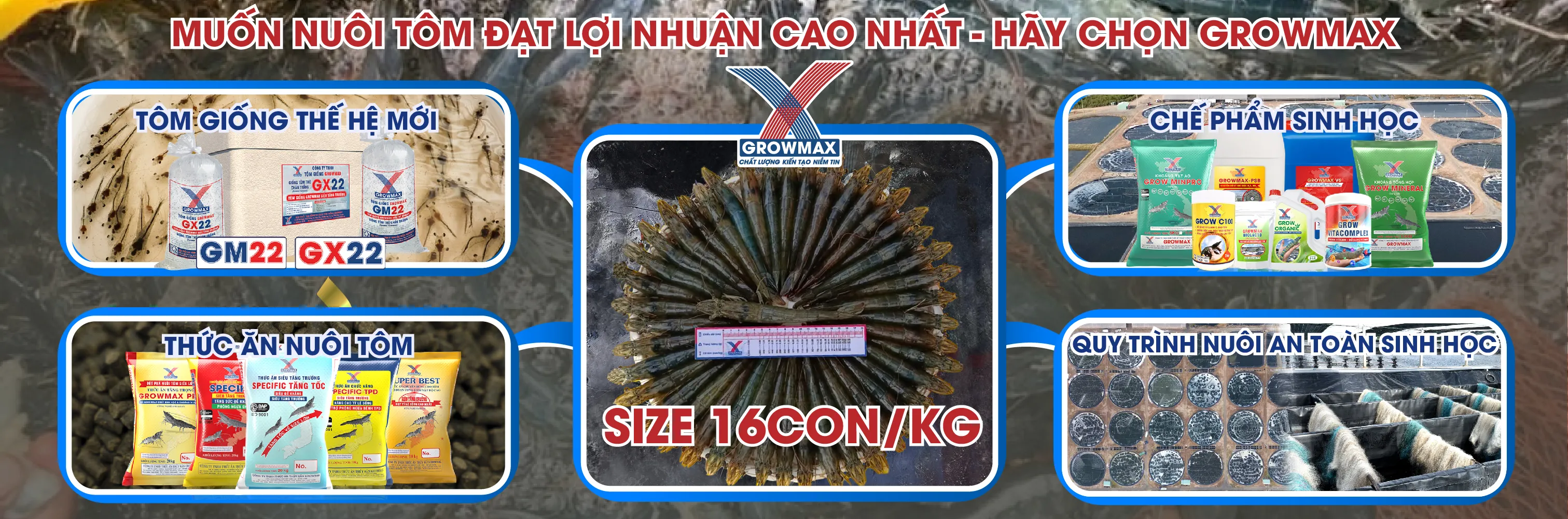 Cách Ngâm Nuôi Hiệu Quả: Công Nghệ Máy Sưởi Titanium Trong Nuôi Trồng Thủy Sản