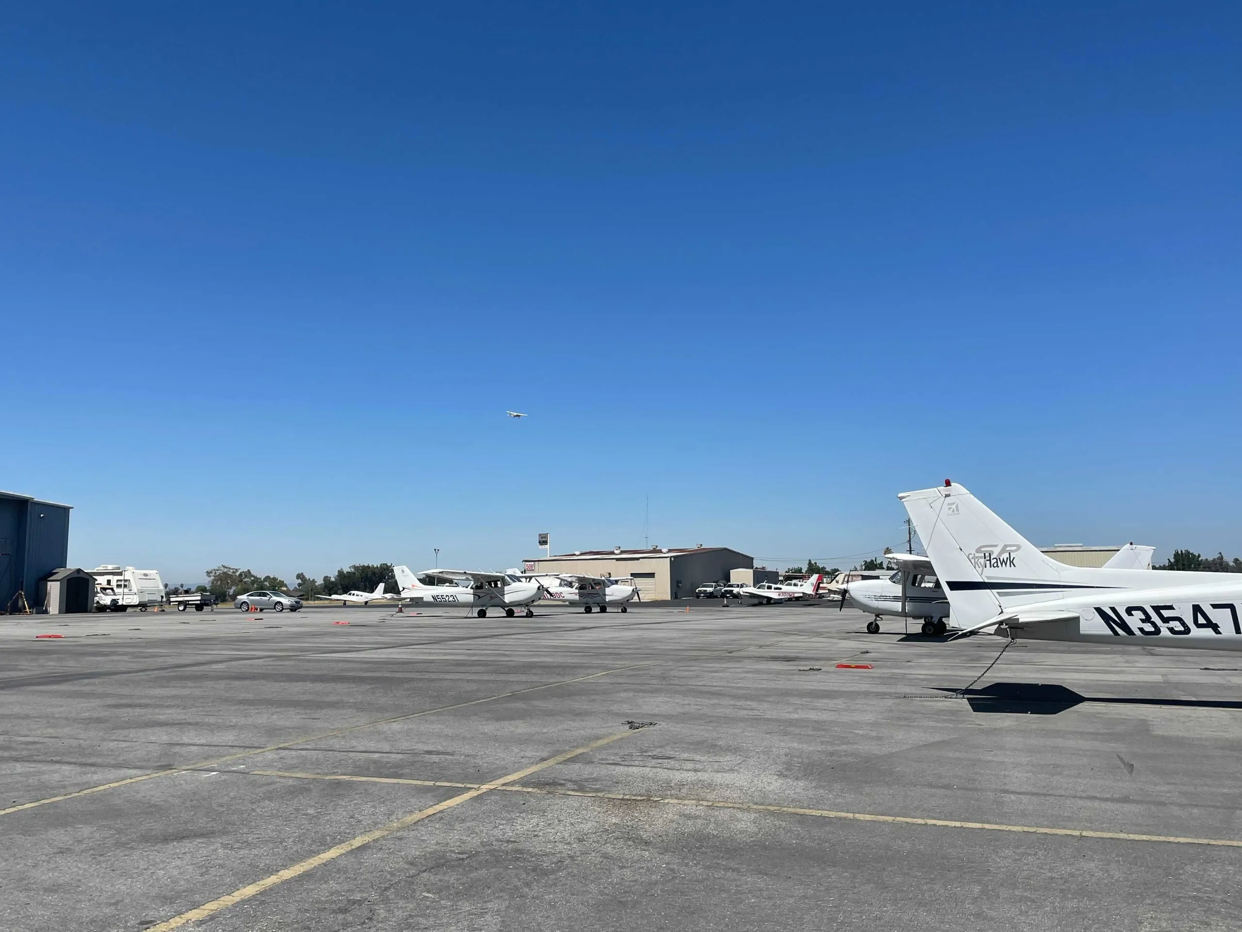 Xét Nghiệm Sán Chó Tại Bình Dương: Địa Chỉ Uy Tín Và Chính Xác