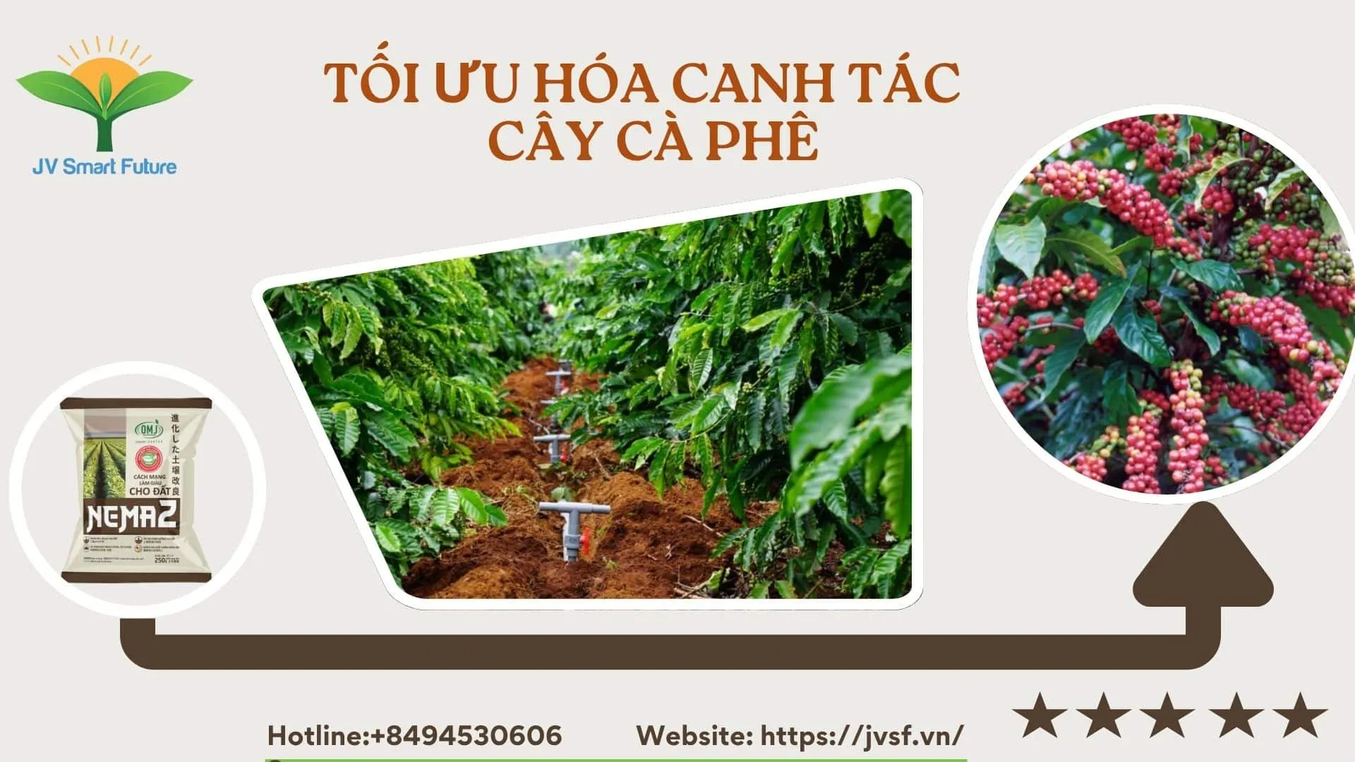 Cách Nuôi Cá Kèo Thương Phẩm Đạt Năng Suất Cao Và Lợi Nhuận Bền Vững