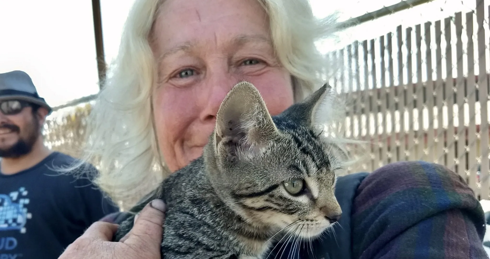 Chuyện Mèo Hoa Đi Học: Bài Học Về Sự Tự Tin Và Chấp Nhận Bản Thân