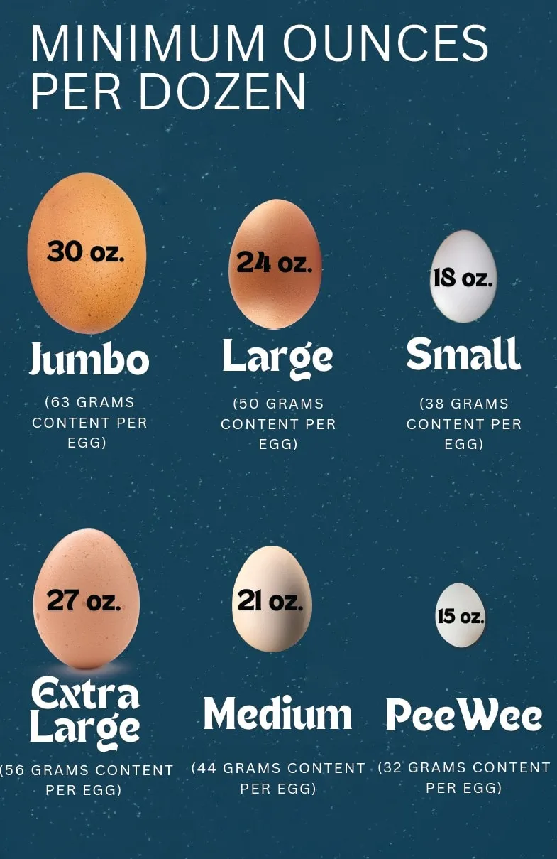 Hướng Dẫn Chi Tiết Cách Nuôi Chim Sẻ Tại Nhà Cho Người Mới Bắt Đầu