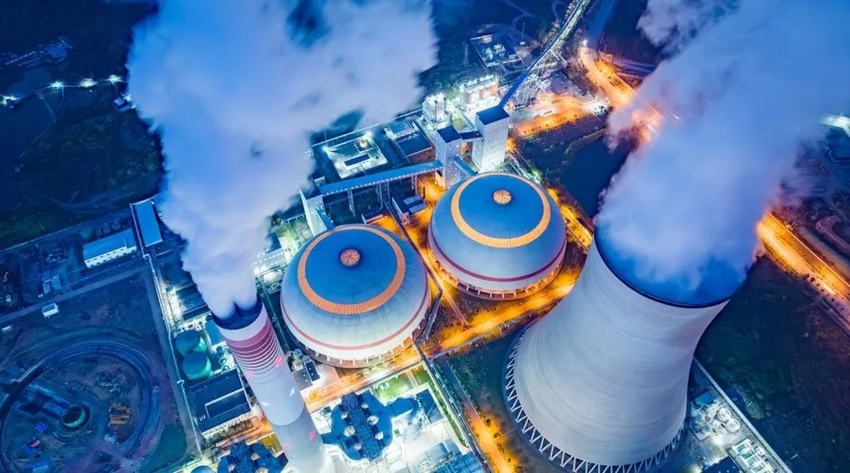 Tiêu Chuẩn Phối Giống Chó Husky Tại Hà Nội Chuyên Nghiệp Và An Toàn