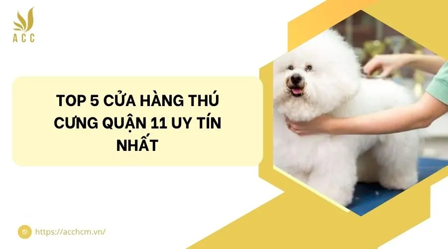 Cửa Hàng Thú Cưng Giá Rẻ Uy Tín Tại TP. HCM: Hướng Dẫn Mua Sắm Toàn Diện