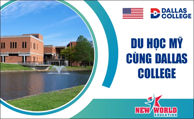 Học Cách Nuôi Yến Thành Công: Hướng Dẫn Chi Tiết Từ A Đến Z Về Quy Hoạch Và Kỹ Thuật