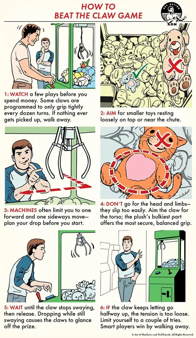 Cách Chọn Mua mèo cảnh giá rẻ dưới 1 triệu Đẹp