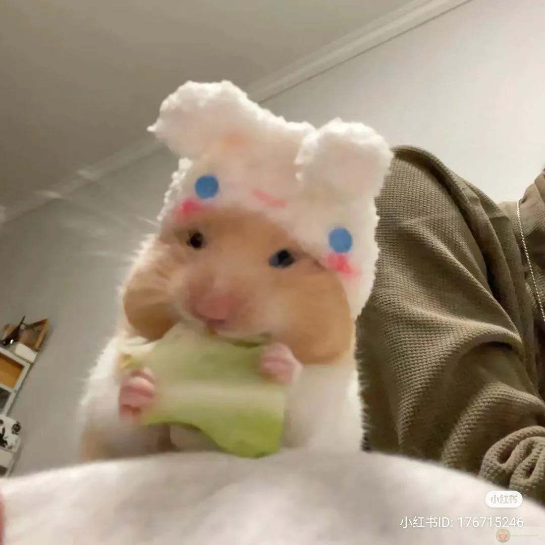 Ảnh chuột nhỏ tạo nên sự hài hước nhẹ nhàng thú vị