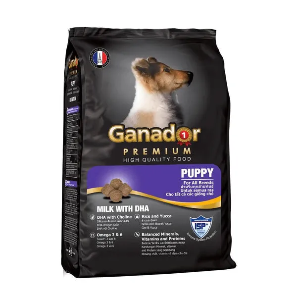 Ảnh chụp thức ăn hạt dành cho chó con, thể hiện tầm quan trọng của dinh dưỡng trong quá trình phát triển