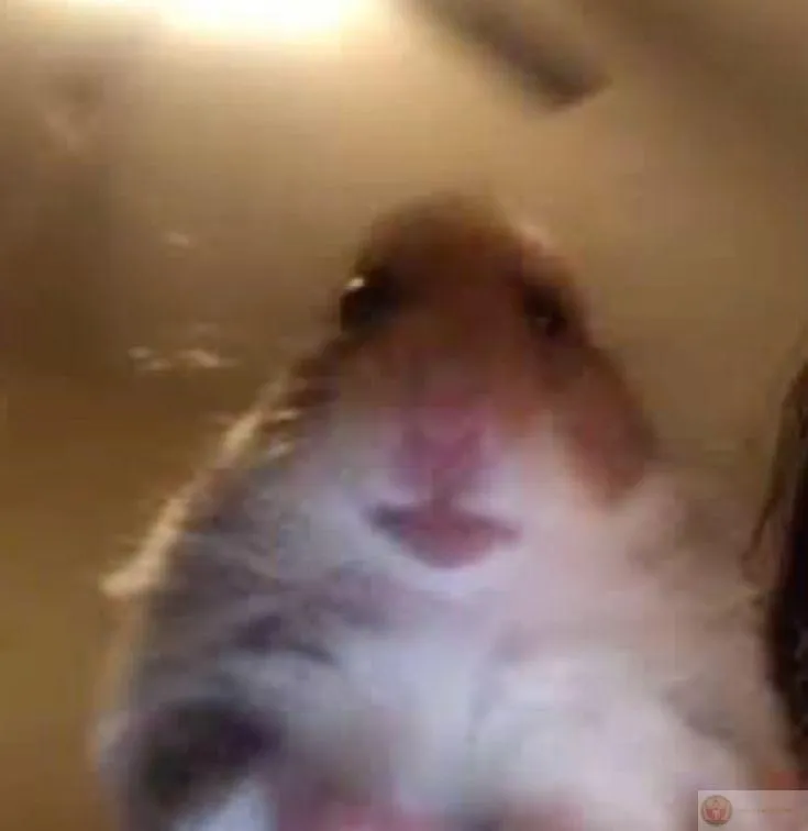 Ảnh hài khiến cả nhóm bạn cười nghiêng ngả thích thú