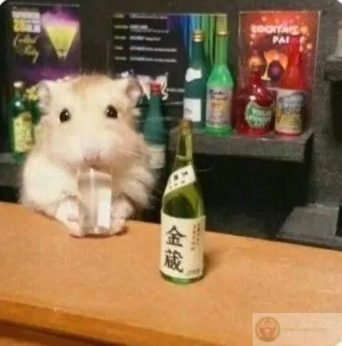 Ảnh hamster đủ làm trò chuyện thêm hài hước