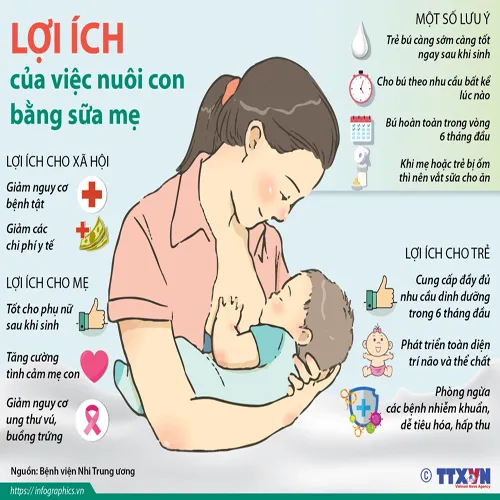 Hướng Dẫn Chi Tiết Cách Nuôi Con Bằng Sữa Mẹ Và Sữa Công Thức An Toàn