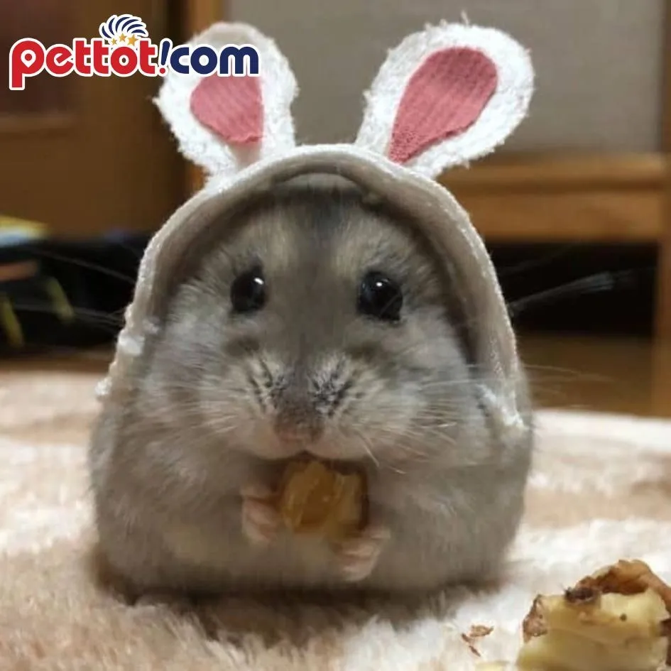 Áo cho chuột hamster họa tiết quả dứa, có thể điều chỉnh kích cỡ lưng và cổ