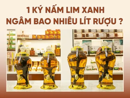 Tỷ Lệ Vàng: 1kg Táo Mèo Khô Ngâm Bao Nhiêu Lít Rượu Chuẩn Vị?