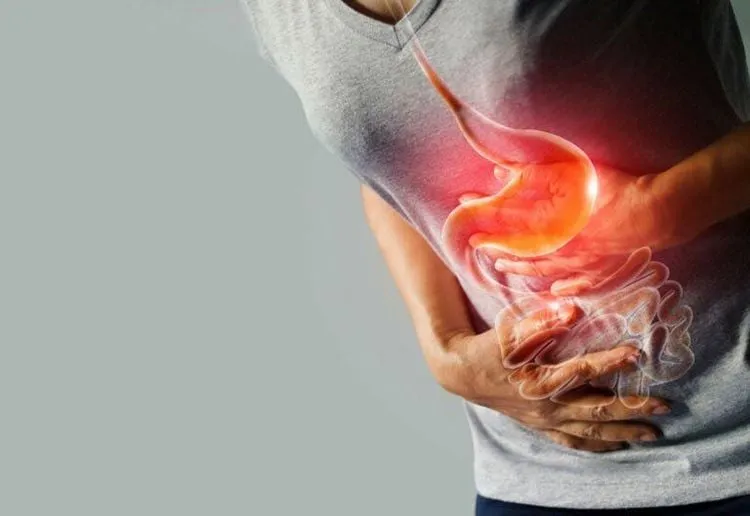 Bài thuốc cổ truyền với bạch truật có thể hỗ trợ chữa viêm loét dạ dày