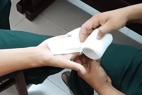 Băng bó tạm thời vết thương bị chuột hamster cắn bằng gạc sạch sau khi đã sát trùng