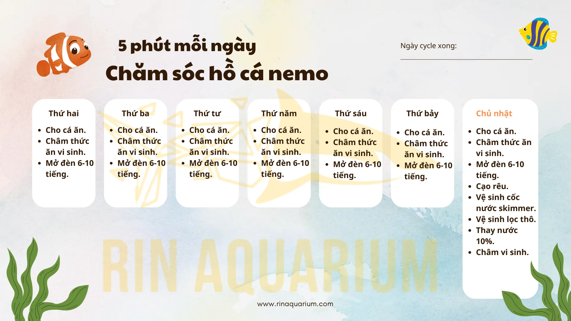 Bảng ghi nhớ lịch trình chăm sóc và bảo dưỡng hồ allintitle:cách nuôi cá cảnh biển hàng ngày và hàng tuần.