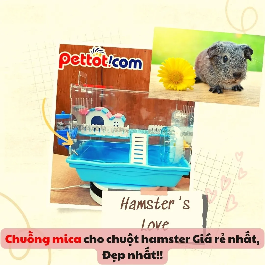 Bảng giá tham khảo các loại chuồng Hamster