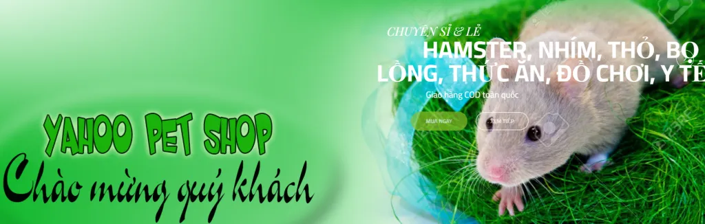 Shop Bán Chuột Hamster Ở Thủ Đức Uy Tín: Hướng Dẫn Chi Tiết A-Z